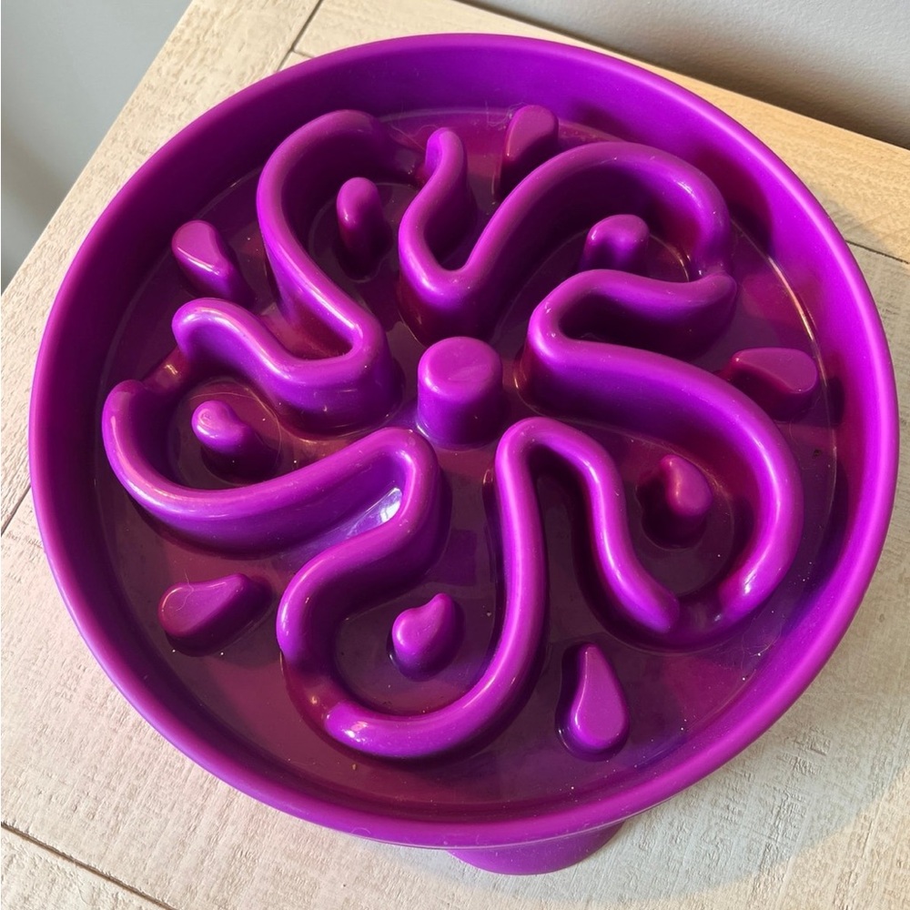 Dog Slow Feeder